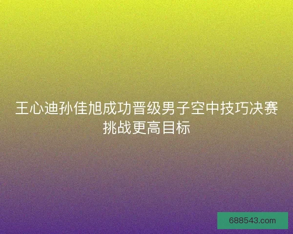 王心迪孙佳旭成功晋级男子空中技巧决赛挑战更高目标